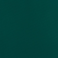 Stamoid Top #F3933 59' 12.7-oz Evergreen (Standard Pack 54 Yards) $23.07