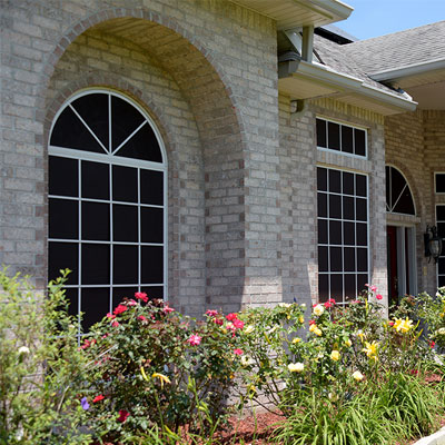 An arched window with various shrubs out front