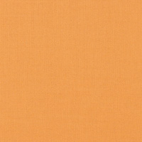 Thumbnail Image for Sunbrella Fusion #40014-0018 54